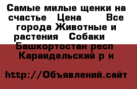 Самые милые щенки на счастье › Цена ­ 1 - Все города Животные и растения » Собаки   . Башкортостан респ.,Караидельский р-н